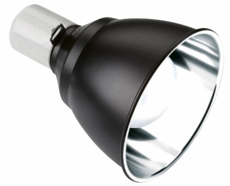 Exo Terra Light Dome